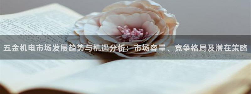 云顶集团董事长林东简历照片