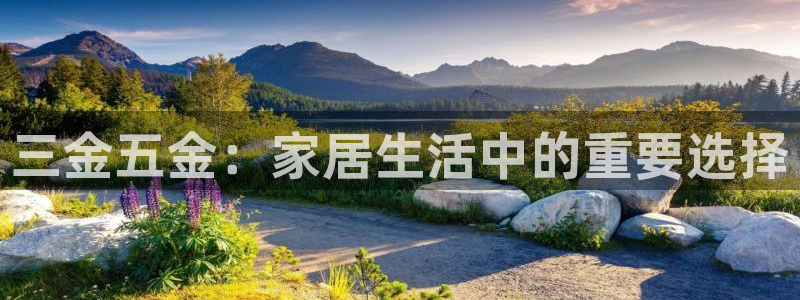 云顶国际服怎么登陆