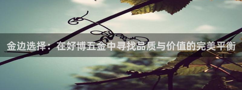 云顶集团网站多少