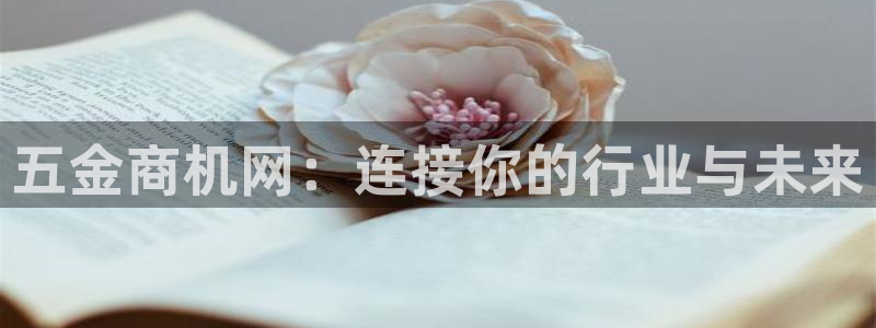 云顶国际商业广场a座101室