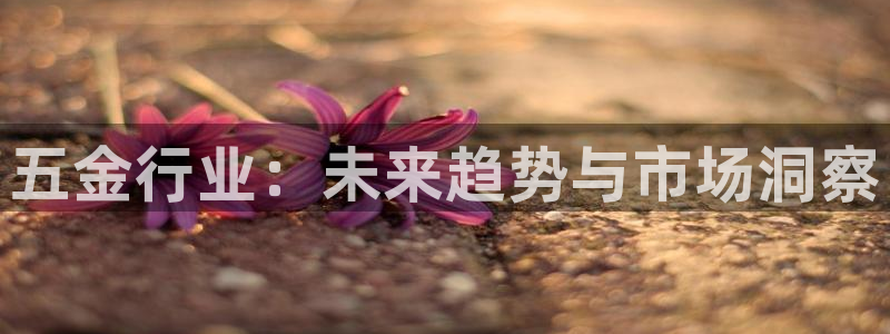 云顶国际物流官网电话