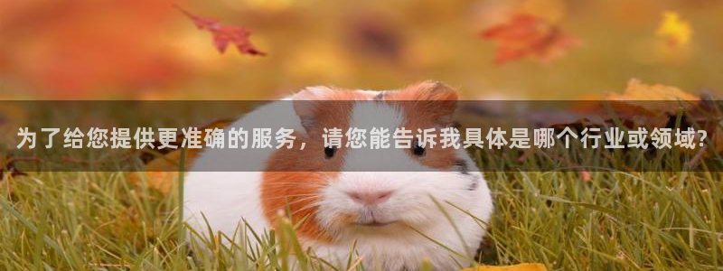 云顶国际广场房价