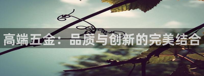 云顶国际商业广场a座101楼