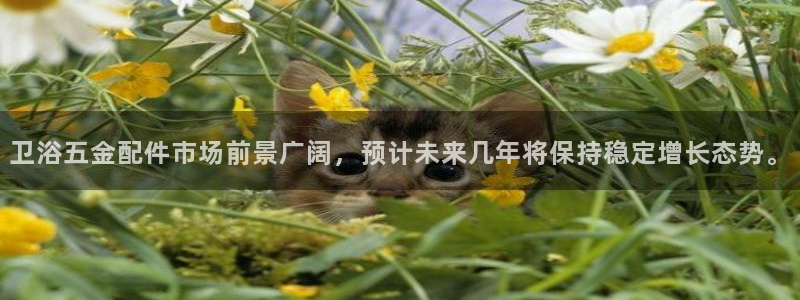 云顶的网址是多少