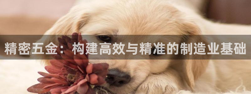 云顶集团有限公司简介概况