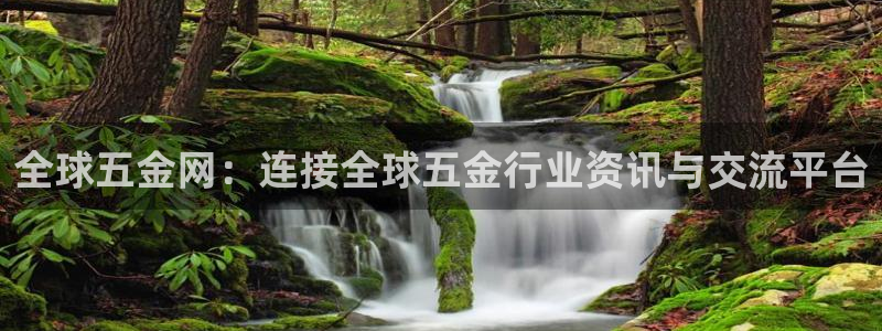 云顶国际宴会中心怎么样