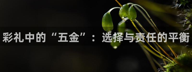 云顶集团有限公司简介