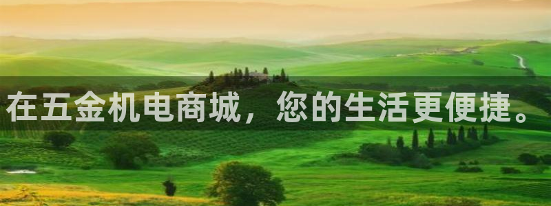云顶集团有限公司简介