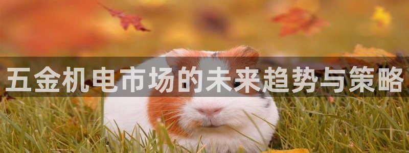 云顶集团游戏app特色