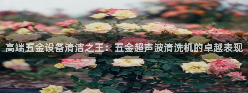 云顶国际官网下载