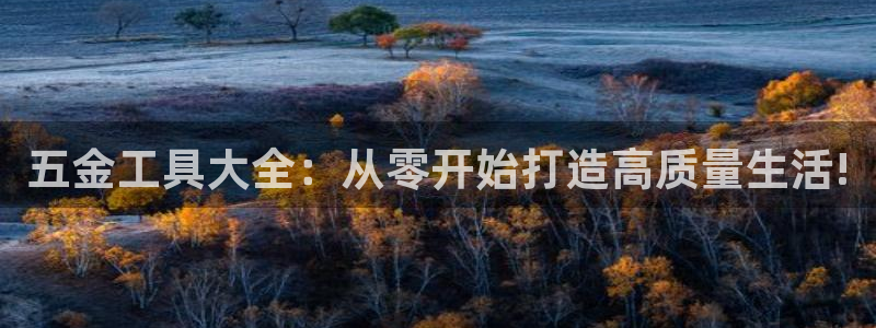 云顶国际平台app