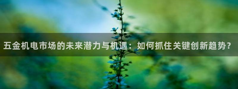 云顶国际广场物业电话