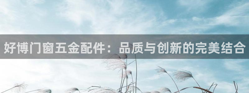 云顶集团公司 英文