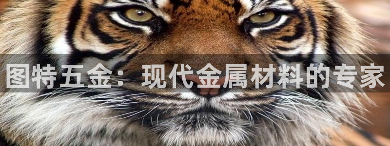 云顶国际平台是真的吗