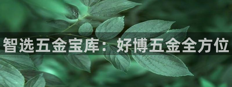 云顶国际大酒店住宿怎么样