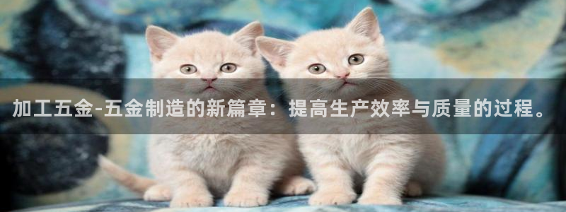 太原云顶国际老板