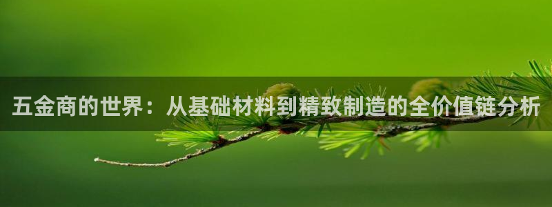 云顶国际服自定义