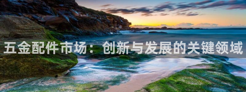 云顶集团老总子女