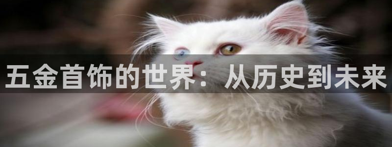 云顶国际服加速器