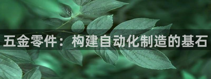 云顶国际集团游戏