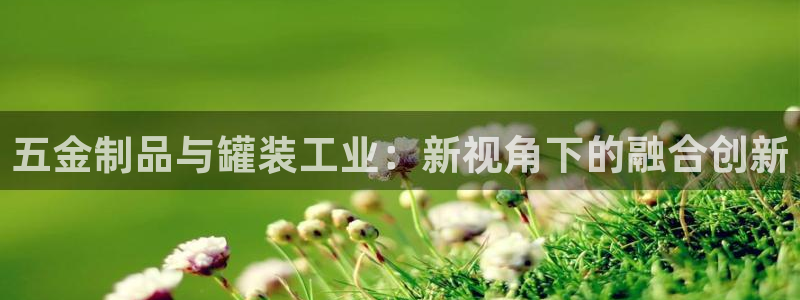 云顶国际足球app下载最新版