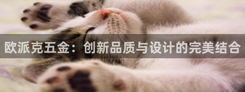 云顶集团app免费下载苹果