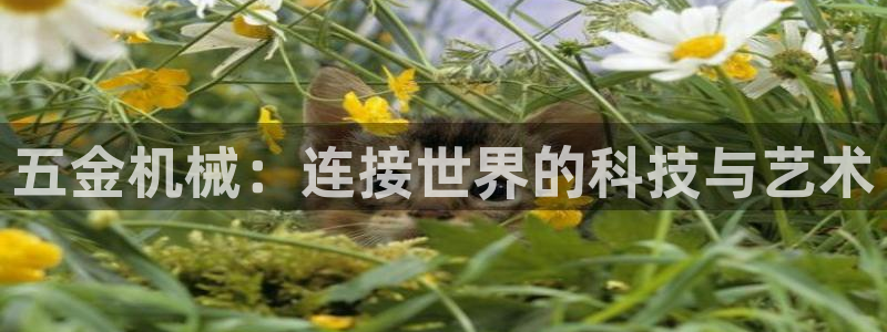 云顶国际电子游戏