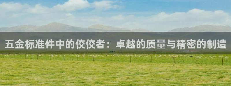 云顶集团董事长林东简历介绍