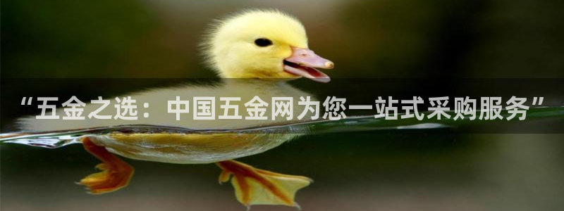 云顶集团在中国有投资吗?