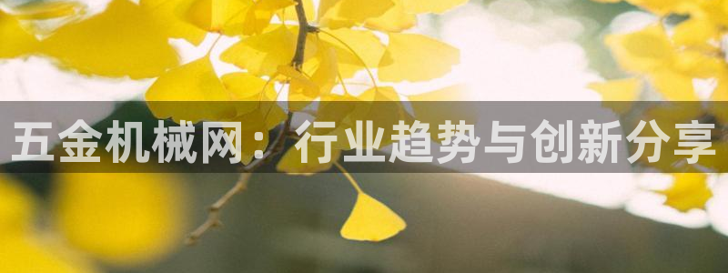 云顶国际服s9赛季什么时候出的