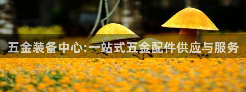 云顶国际会所怎么样