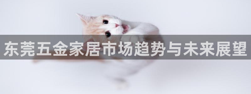 云顶国际公馆在哪