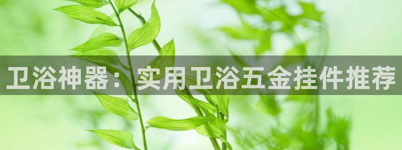 云顶集团董事长林东简历