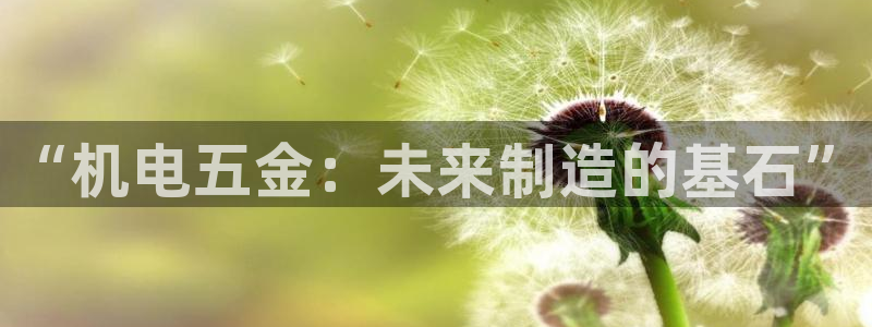 云顶集团3118官网下载