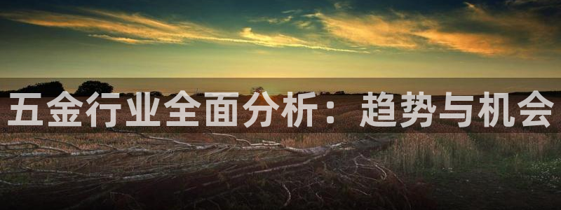 云顶国际服叫啥