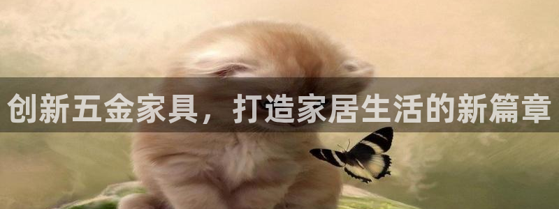 云顶国际黑网不出款