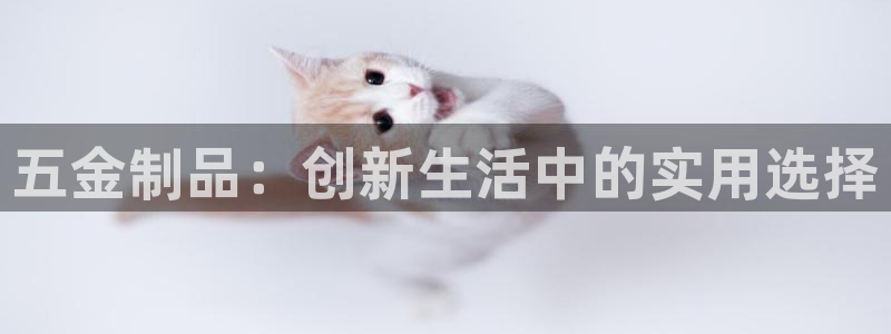 云顶国际(集团)开发实业有限公司