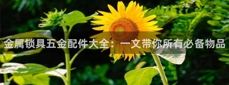 云顶国际服怎么登陆