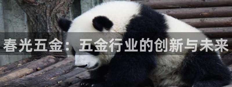 淮北云顶国际俱乐部电话