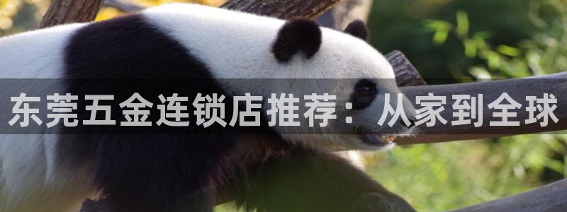 云顶国际版手游