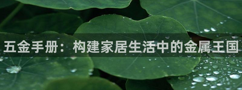 云顶集团是哪个国家的