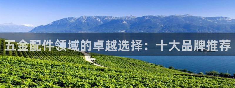 云顶国际提现多久到账