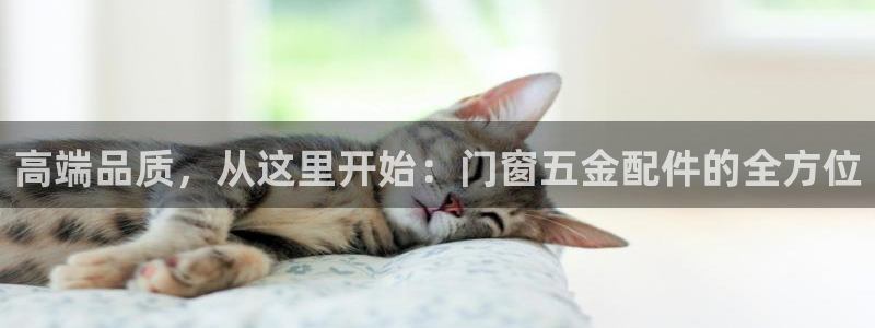 云顶国际在线购彩