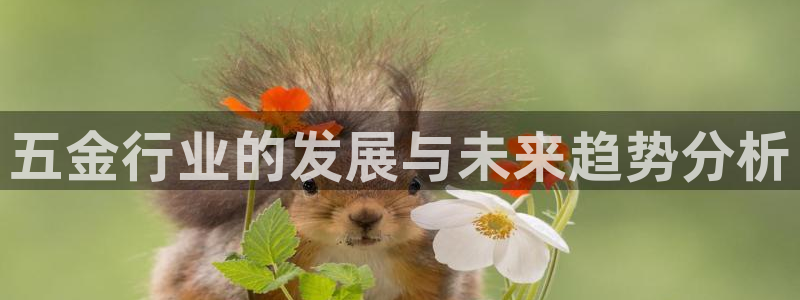 云顶集团在哪上市