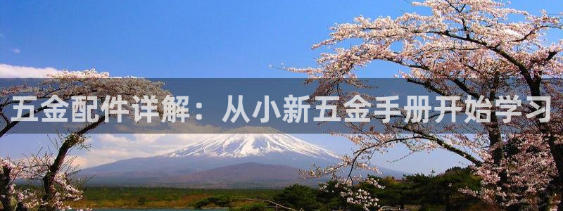 云顶国际nba智库