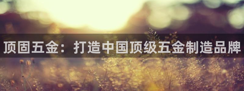 云顶国际服S9什么时候更新