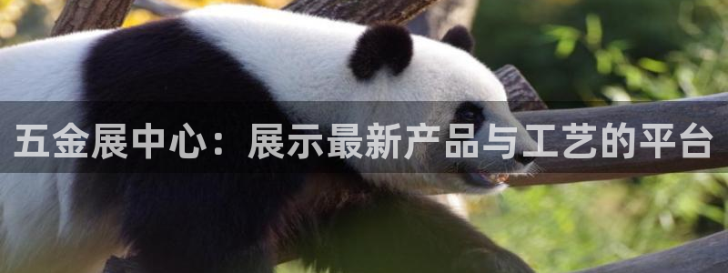 云顶国际(集团)开发实业有限公司