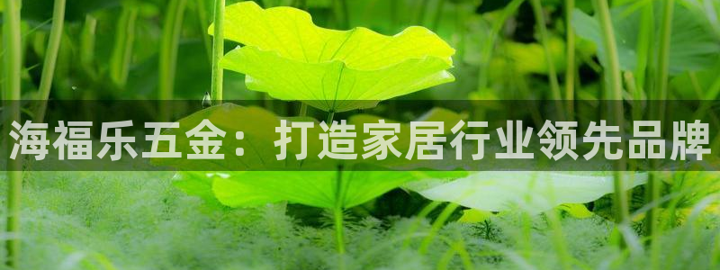 手游云顶国际服下载