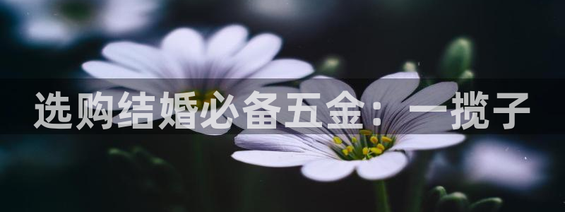 云顶国际服什么时候更新s9.5