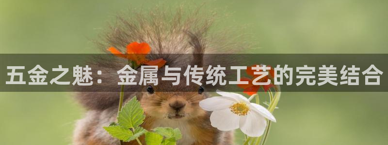 云顶国际怎么进不去了